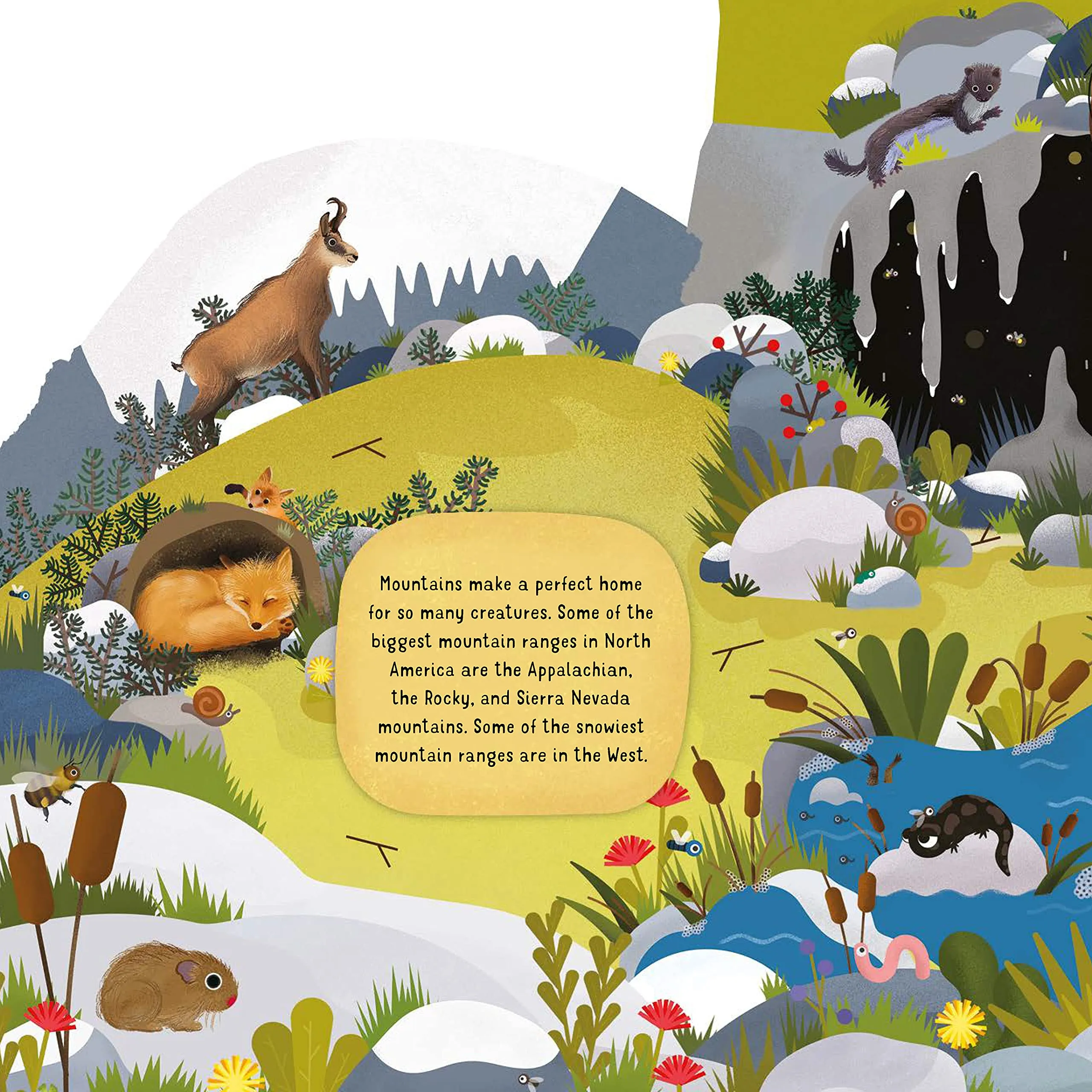 Discovering Nature on the Mountainside Board Book