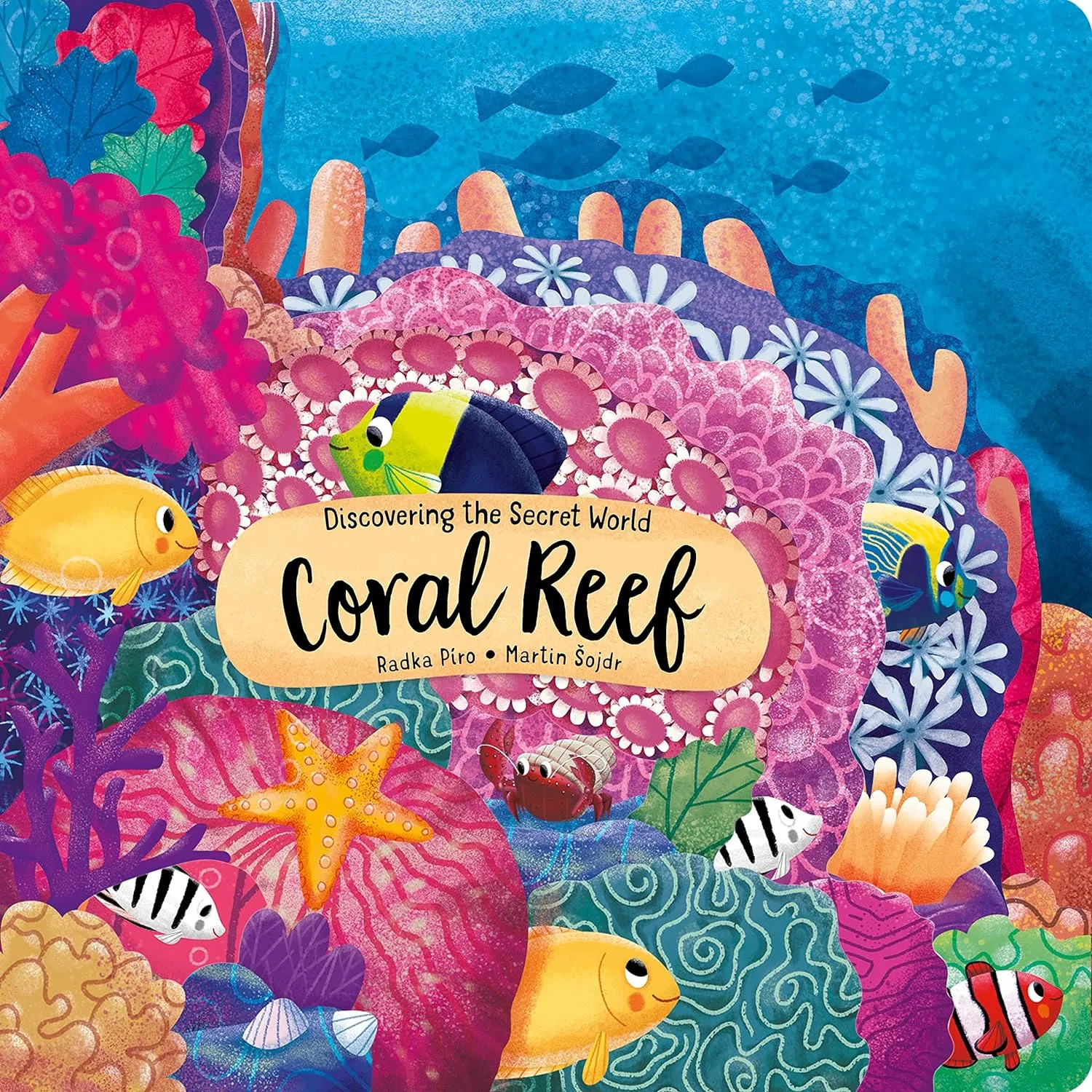 Discovering The Secret World Coral Reef Board Book